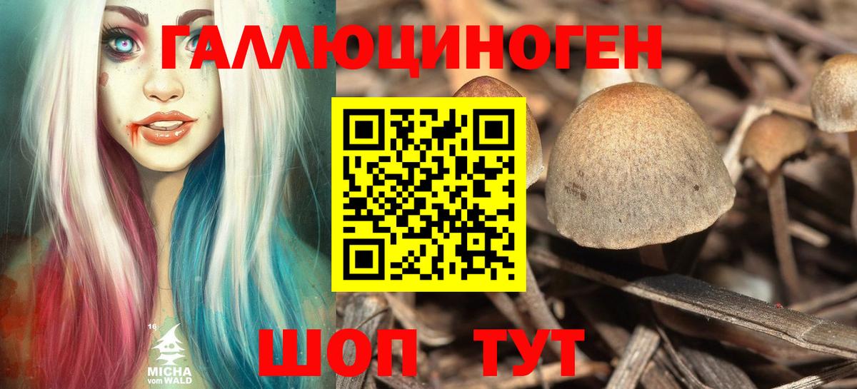 Псилоцибиновые грибы ЛСД Дербент
