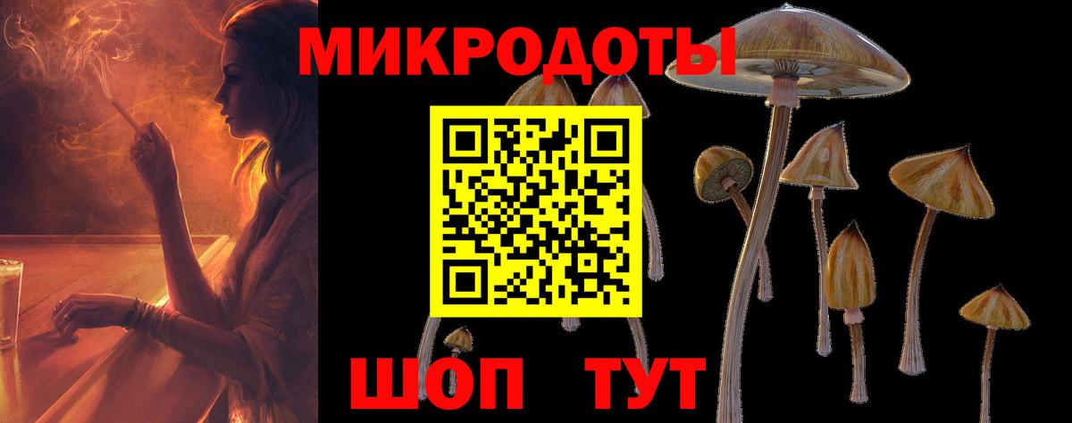 Дербент  купить наркотики цена  Галлюциногенные грибы мицелий  Вход с VPN  Псилоцибиновые грибы Cubensis 